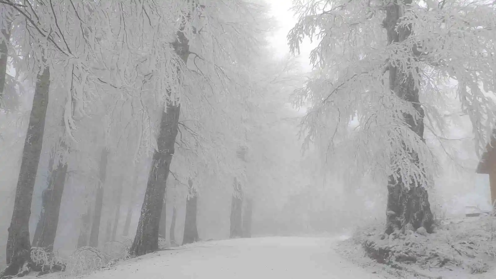 Kartepe'de kar manzaraları
, KOCAELİ haberleri