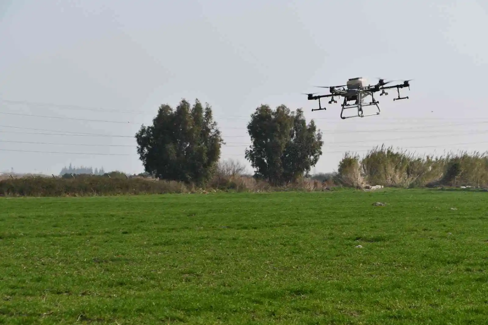 Söke Belediyesinin buğday arazisi dron ile gübrelendi
, AYDIN haberleri