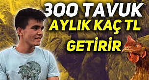 300 TAVUK AYLIK KAÇ PARA KAZANDIRIR ? | 17.500 tl ’ye Kendi İşinin Patronu Ol 2021